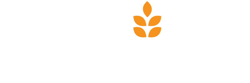 starizo